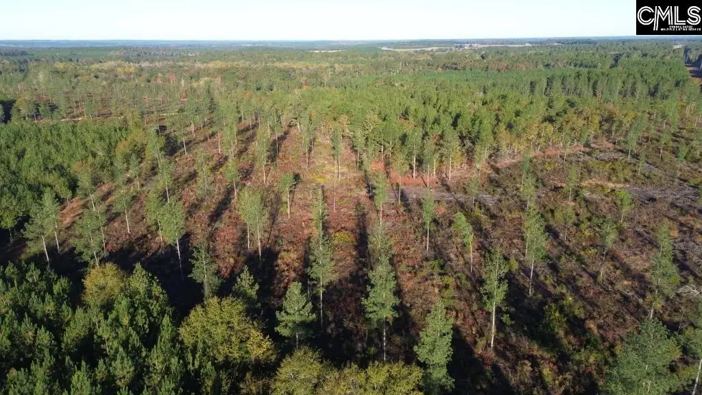 Kestrel Drive, Leesville, SC 29072 - Image #1