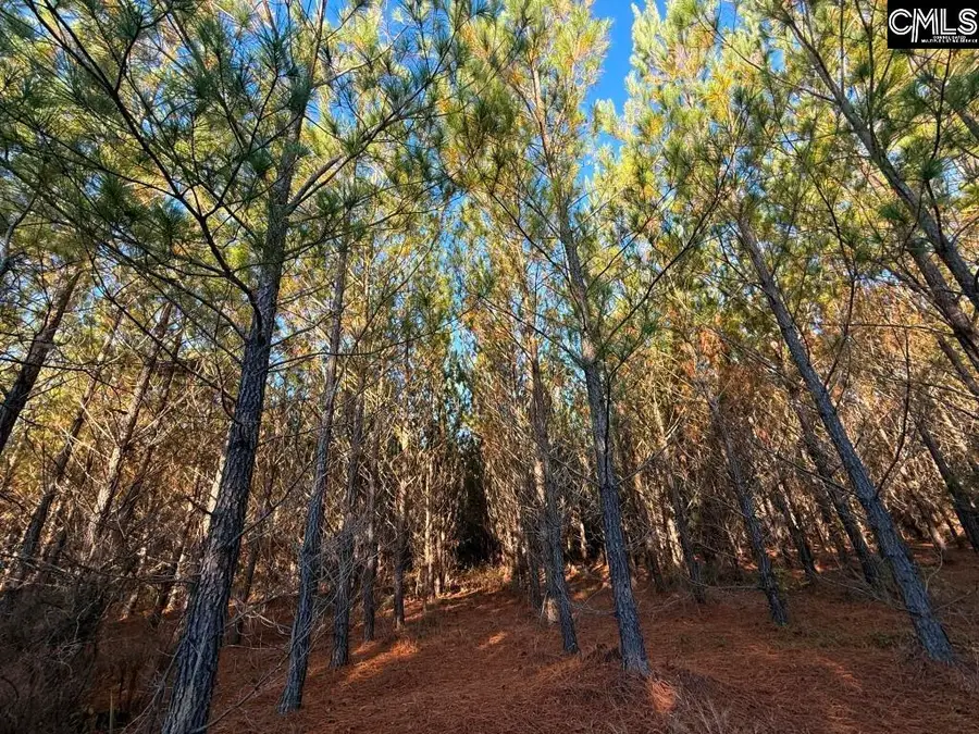 Kestrel Drive, Leesville, SC 29072 - Image #3