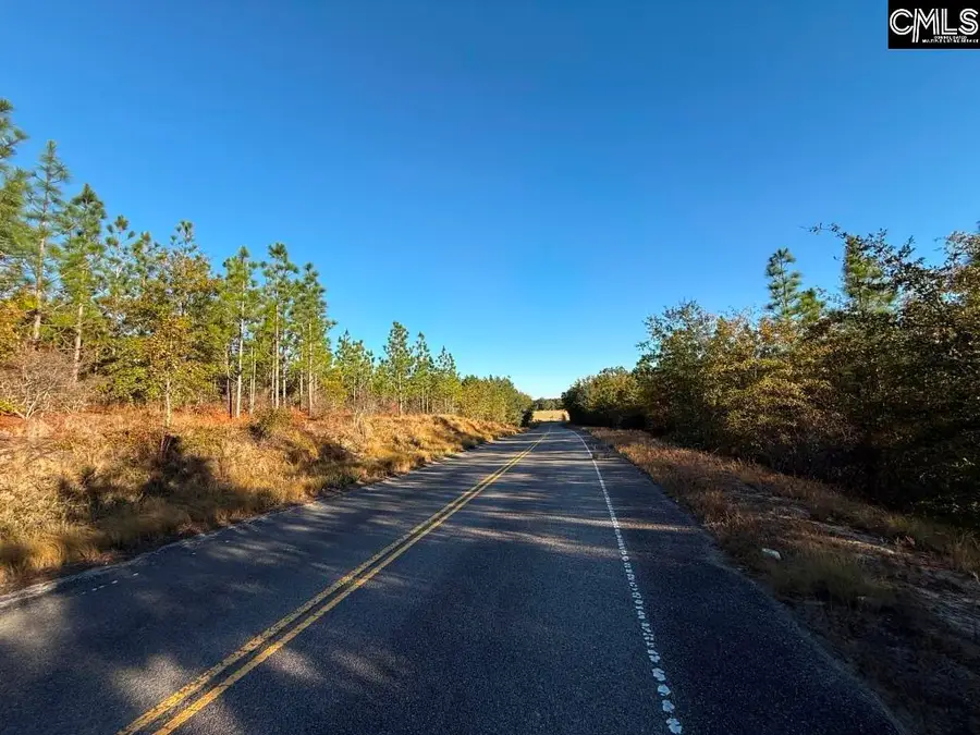 Truex Road, Leesville, SC 29072 - Image #2