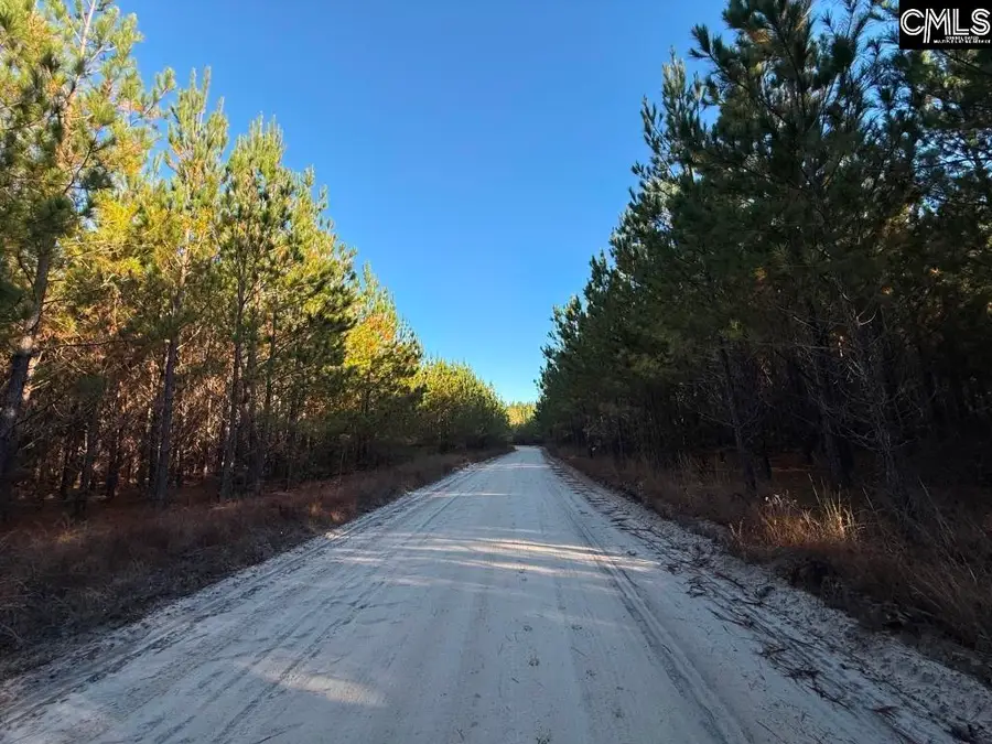 Truex Road, Leesville, SC 29072 - Image #3