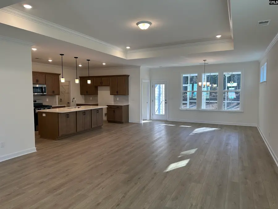 342 Rising Stream Way, Chapin, SC 29036 - #2