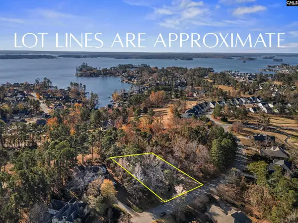 126 Lake Summit Drive, Chapin, SC 29036