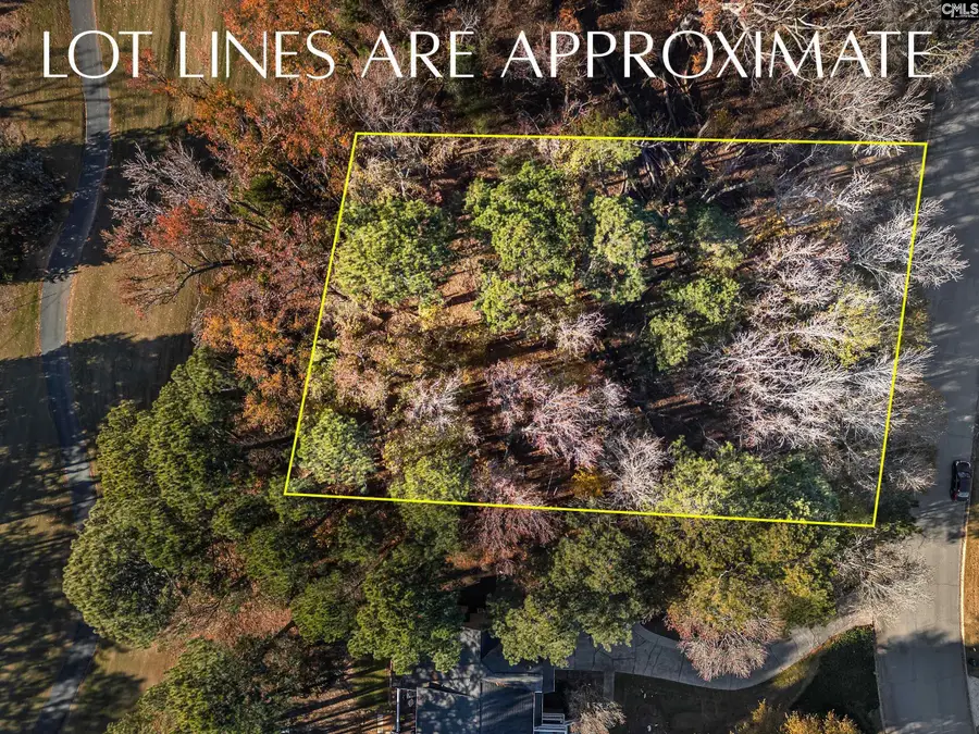 126 Lake Summit Drive, Chapin, SC 29036 - #2