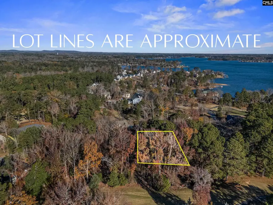126 Lake Summit Drive, Chapin, SC 29036 - #3