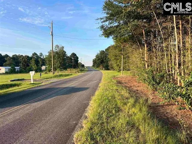 0 Tindal Road, Pelion, SC 29123 - #3