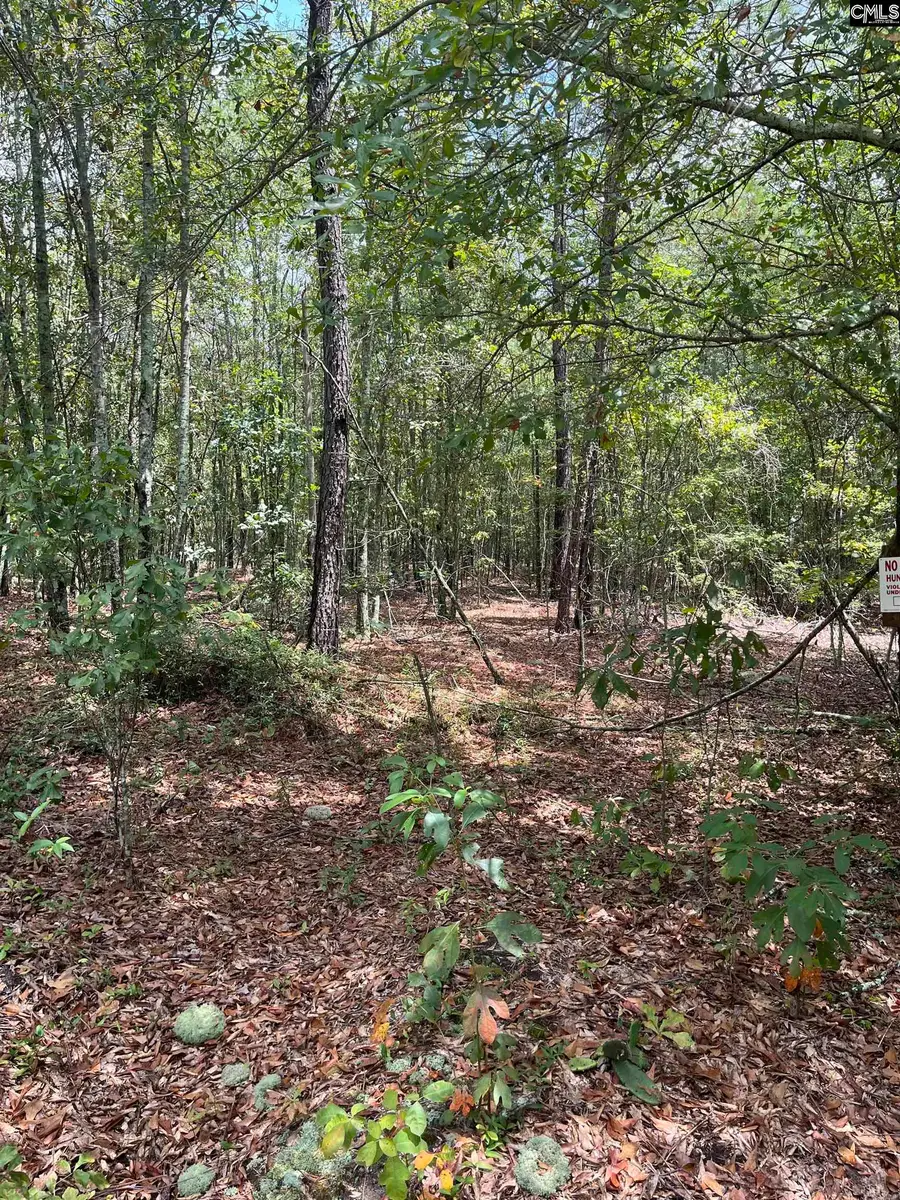 BHL 7 Boise Cascade Road #BHL 7, Bethune, SC 29009 - Image #3