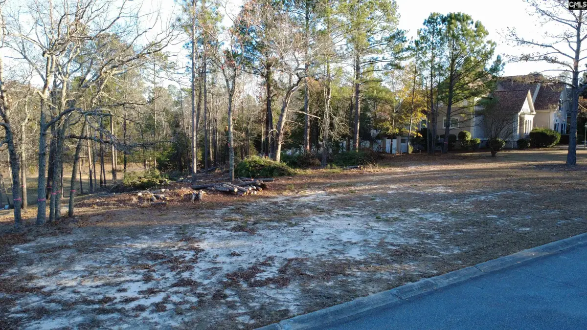 208 Crickentree Drive, Blythewood, SC 29016 - Image #1