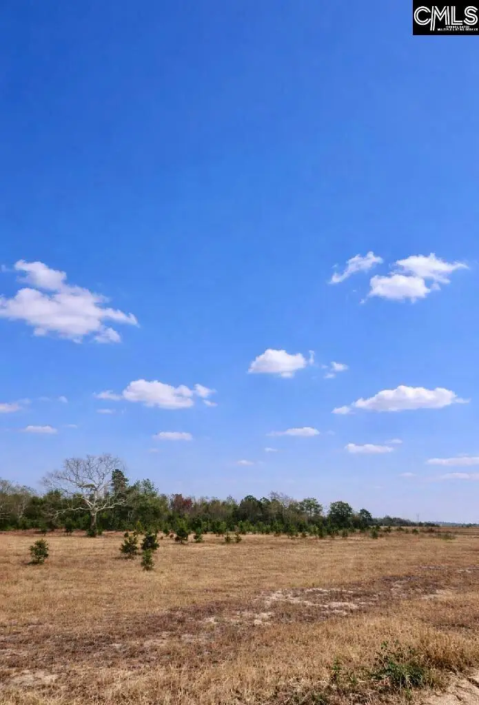 5495 Cannery Road, Dalzell, SC 29040 - Image #2