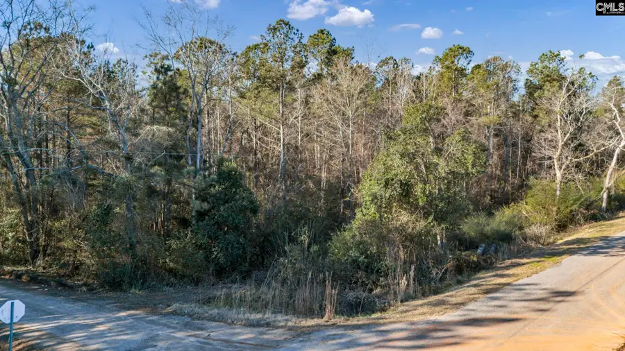 0 Old Cherokee Trail, Saluda, SC 29138 - Image #2