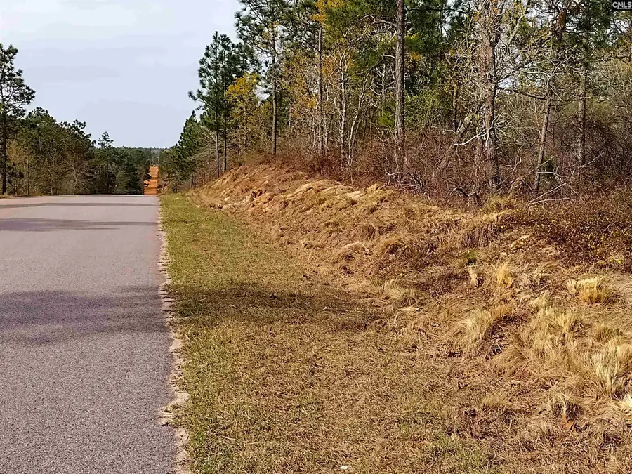 541 Holder Road, Batesburg, SC 29006 - Image #2