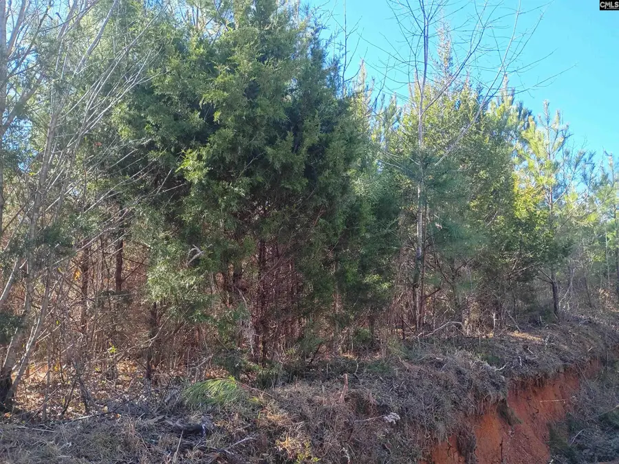 1163 Juneberry Rd, Camden, SC 29020 - Image #2