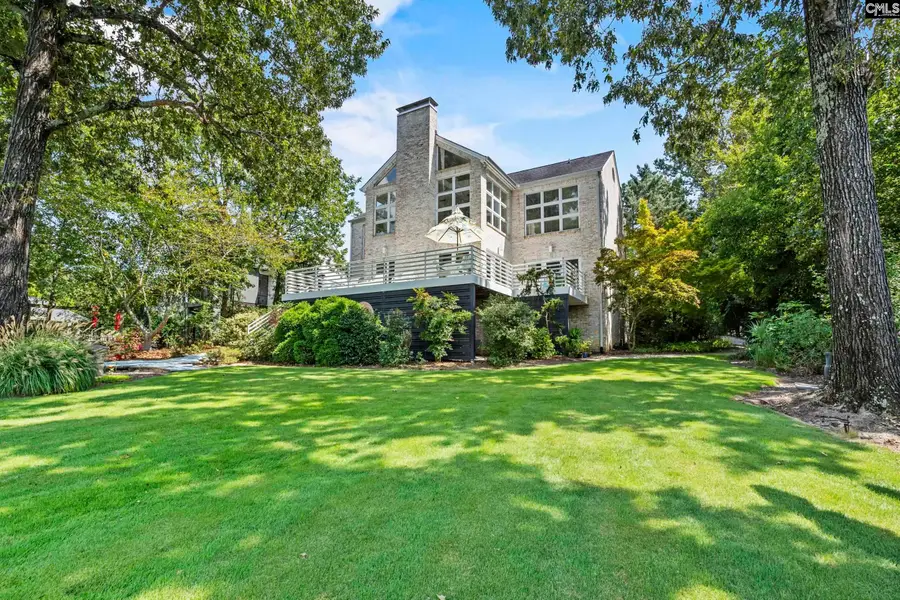 368 Frick Court, Chapin, SC 29036 - #2