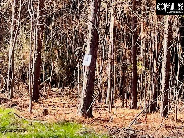 0 J Farm Trail, Leesville, SC 29070 - Image #3