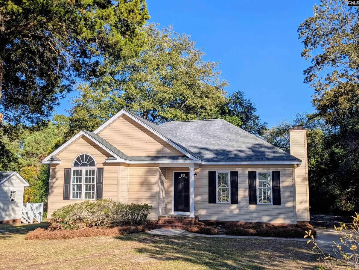 415 Black Avenue, Lexington, SC 29072 - Image #1