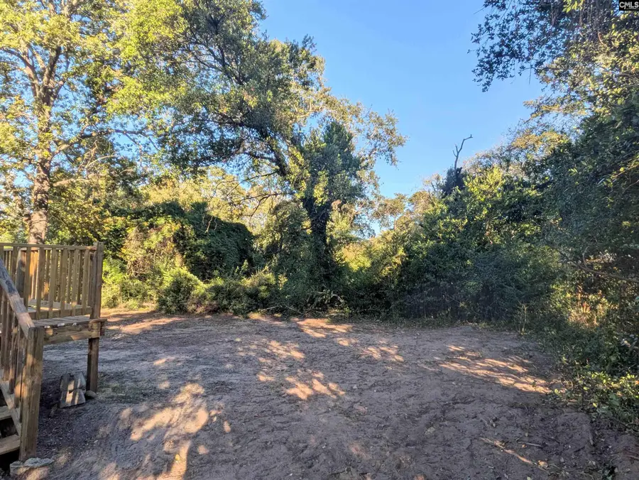 415 Black Avenue, Lexington, SC 29072 - Image #3