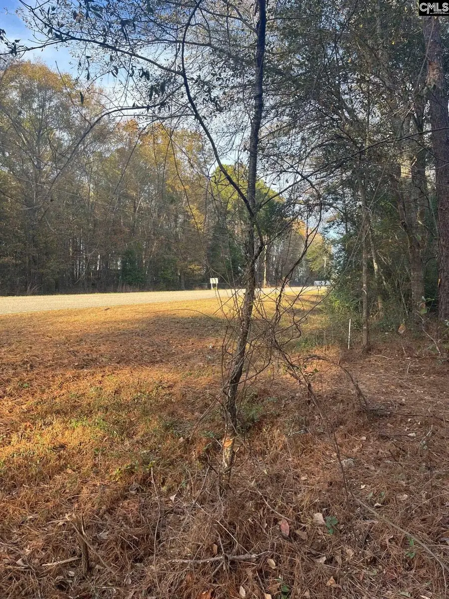 DSH 3 Wagener Road #DSH 3, Wagener, SC 29164 - Image #3