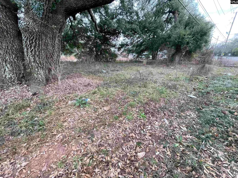 756 Laurens Street, Aiken, SC 29801 - #3