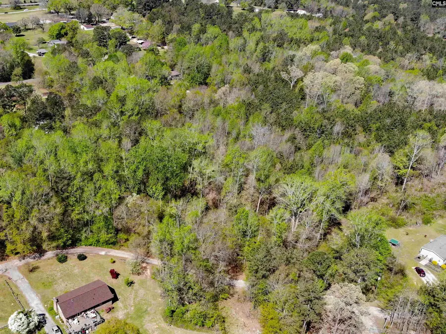 TBD James Road, Joanna, SC 29351 - Image #3