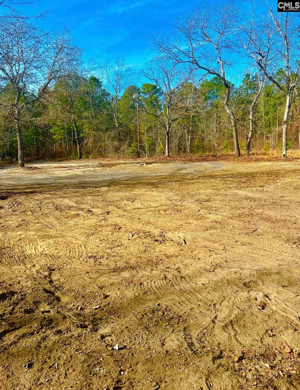 433 Cassidy Road, Gaston, SC 29053 - Image #1