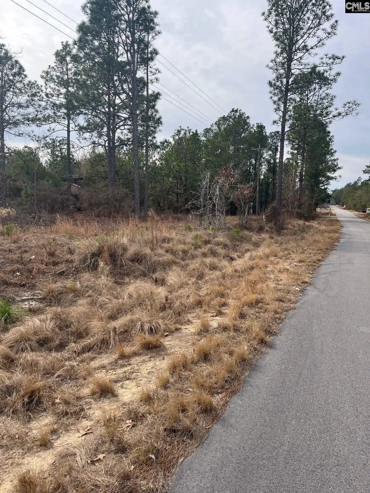 WHL 1 Rainbow Drive #WHL 1, Salley, SC 29137 - Image #1