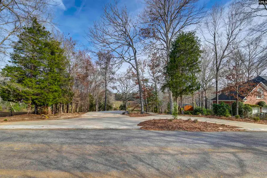 132 Laurel Branch Way, Columbia, SC 29212 - Image #3