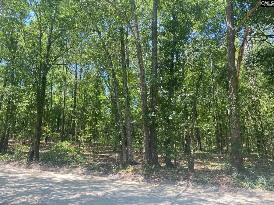 0 Mathias Road, West Columbia, SC 29169 - #2