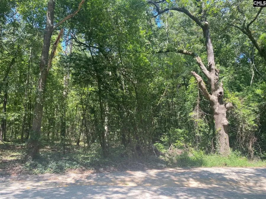 0 Mathias Road, West Columbia, SC 29169 - #3