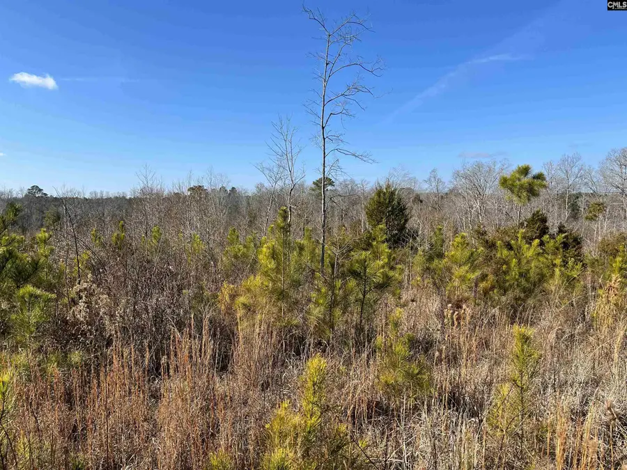 242 Chappell Road, Winnsboro, SC 29180 - #2