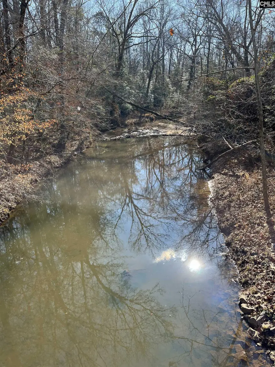 242 Chappell Road, Winnsboro, SC 29180 - #3