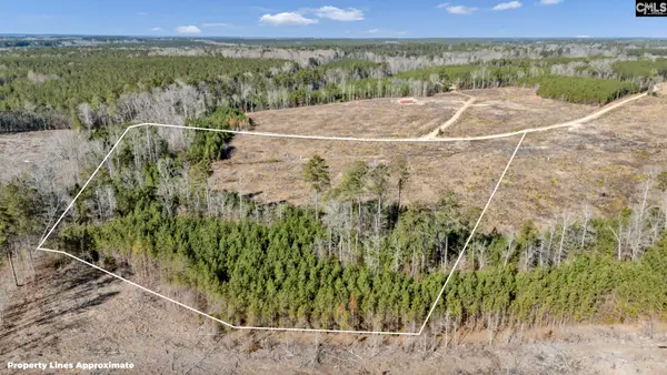 0 Ebb Mack Road, Saluda, SC 29138