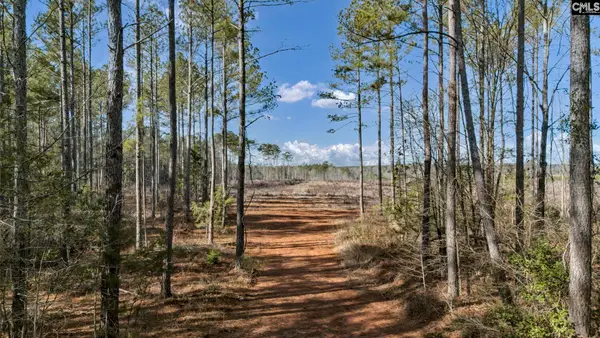 0 Shiloh Road, Saluda, SC 29138