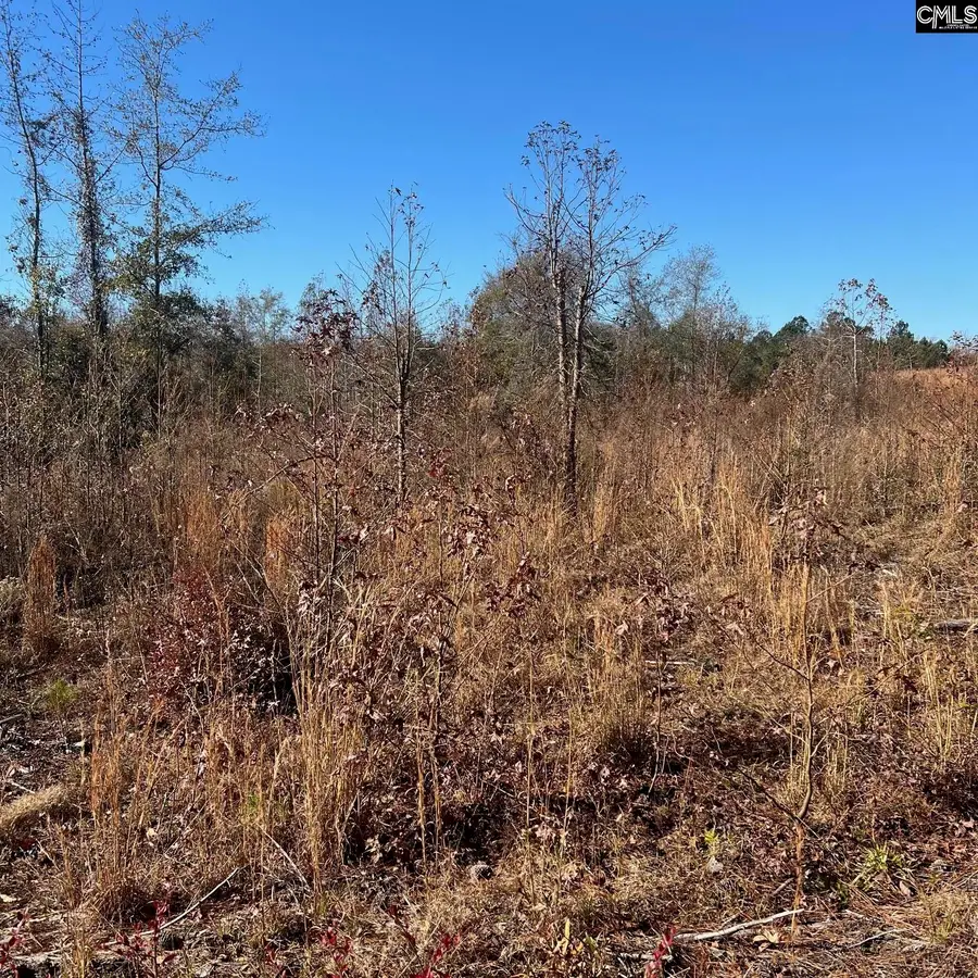 2199 Longtown Road, Ridgeway, SC 29130 - #3