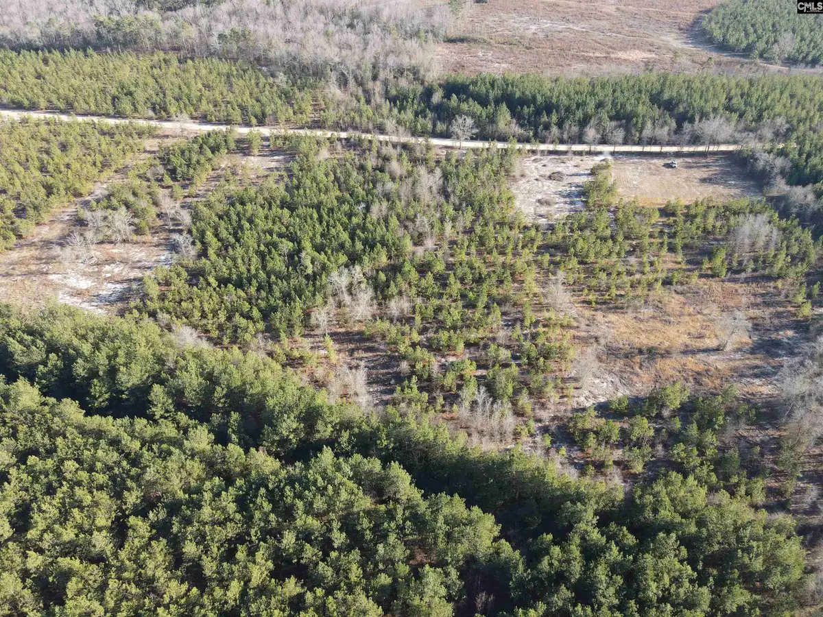 3071 Arcadia Road, Bethune, SC 29009 - Image #1