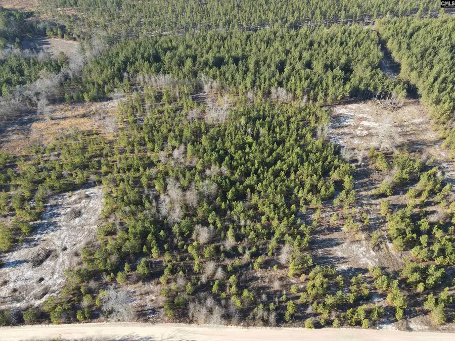 3071 Arcadia Road, Bethune, SC 29009 - Image #3