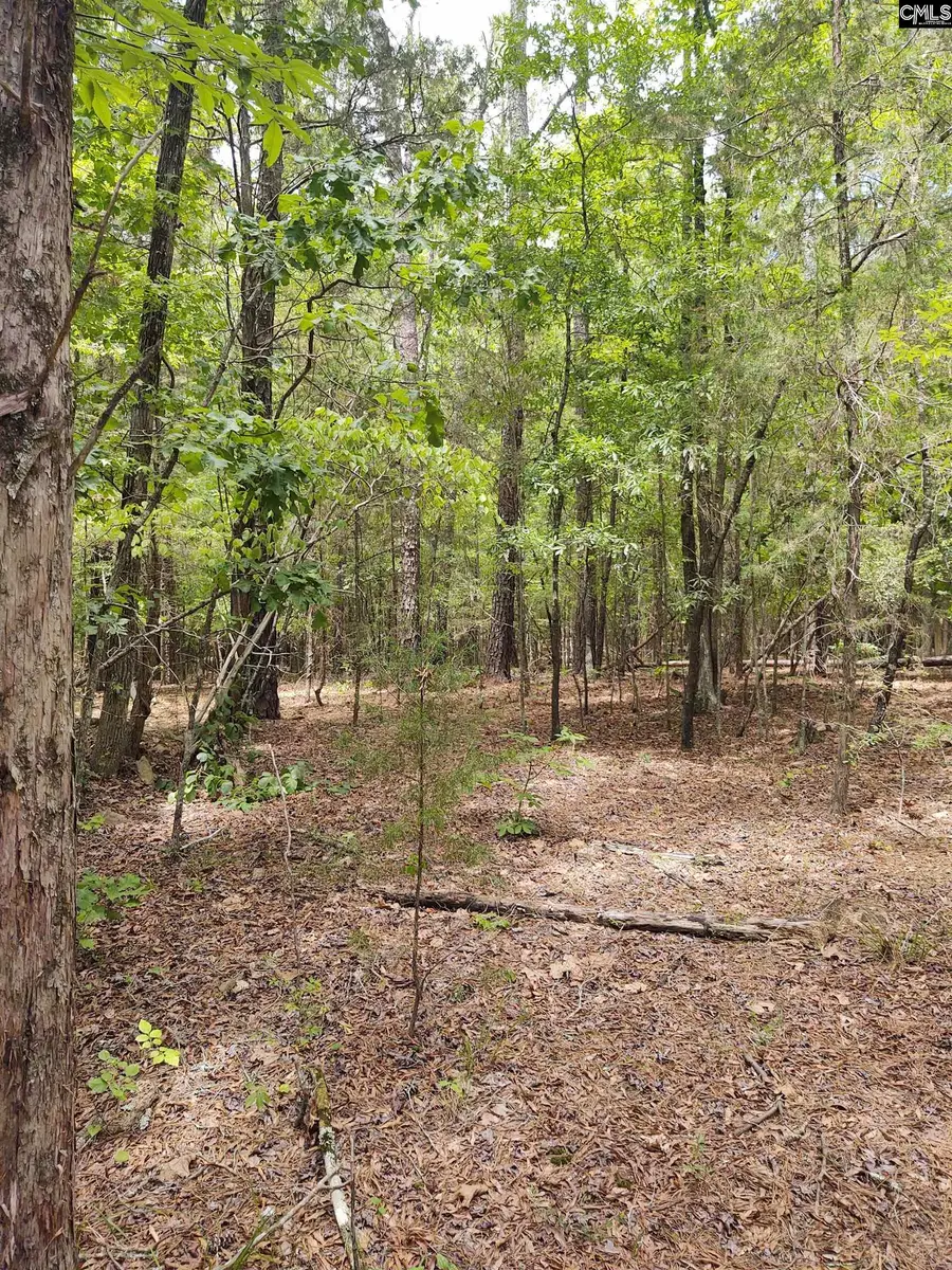 1109 Hopewell Church Road, Irmo, SC 29063 - Image #2