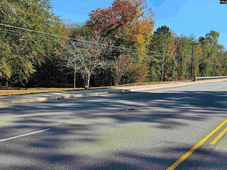 1607 South Lake Drive, Lexington, SC 29073 - Image #3