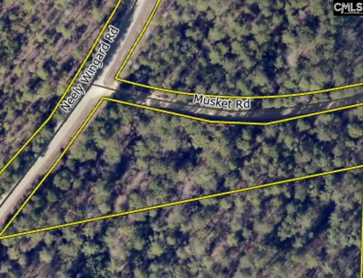 TBD Neely Wingard At Musket Road, Gilbert, SC 29054 - Image #1