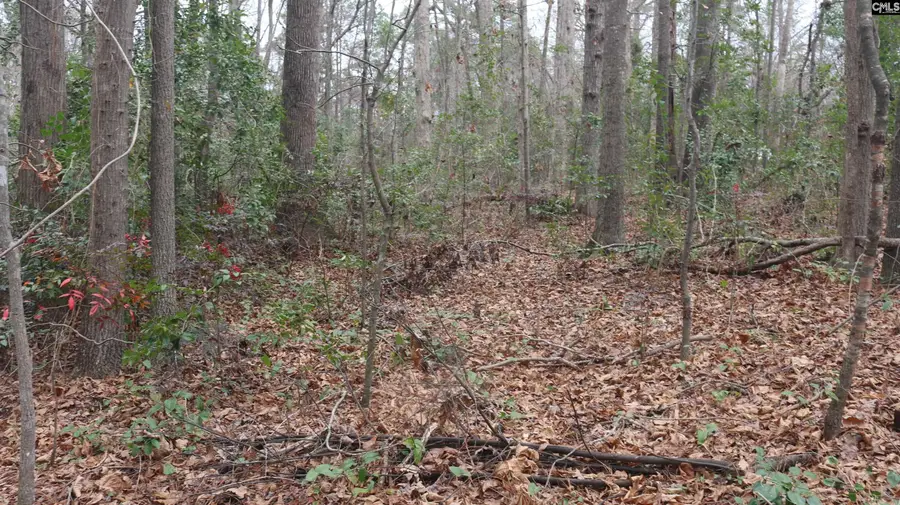 291 Big Timber Drive, Lexington, SC 29073 - Image #2