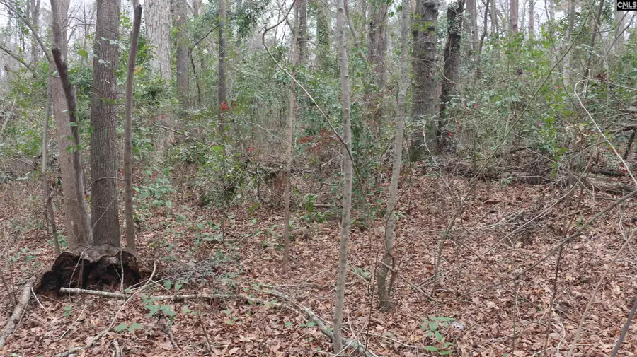 291 Big Timber Drive, Lexington, SC 29073 - Image #3