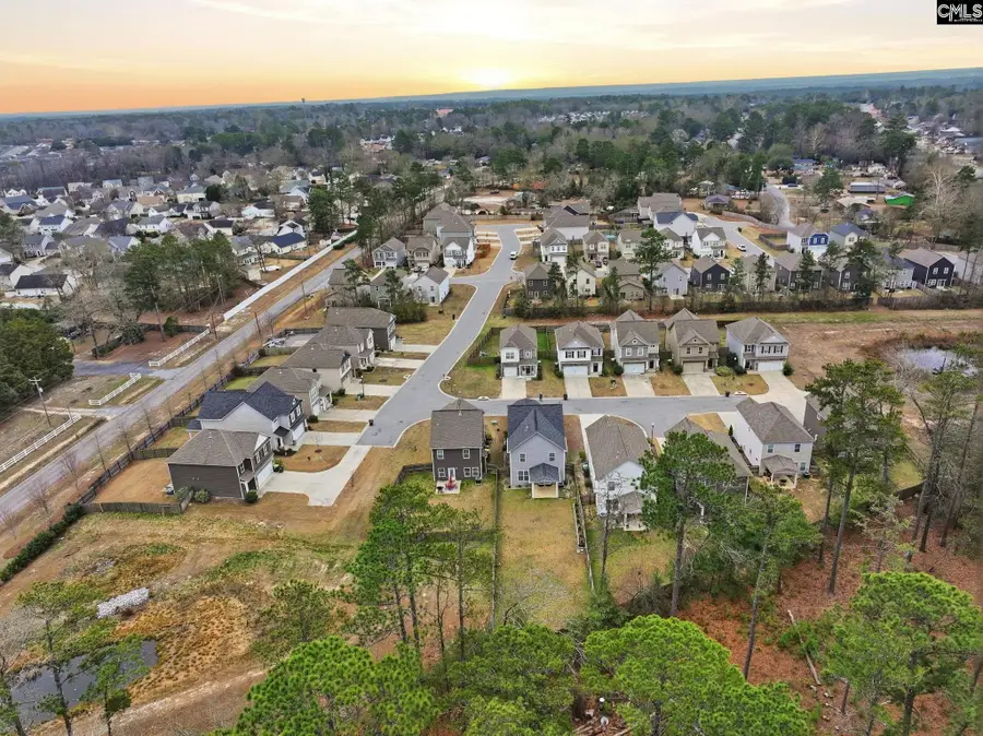 510 Red Taffy Way, Lexington, SC 29073 - Image #2