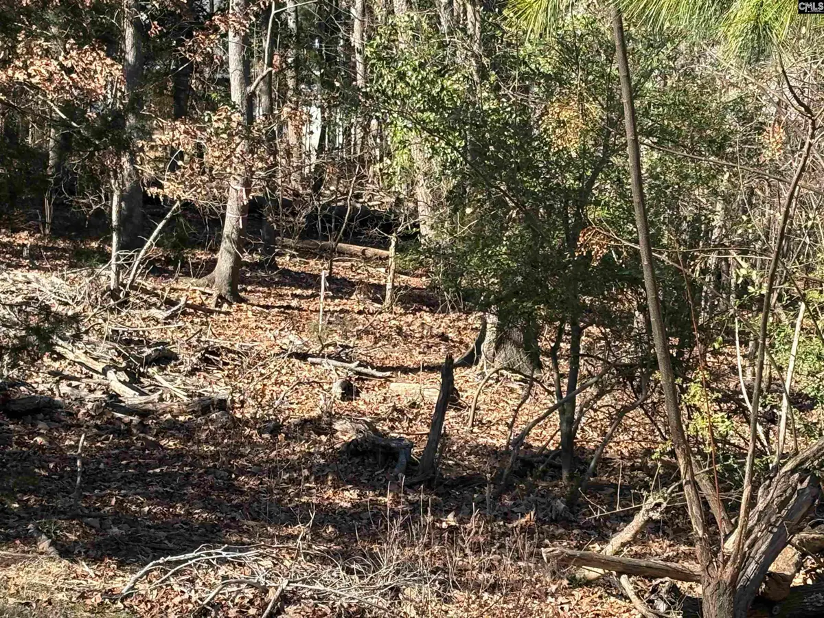 110 Lake Summit Drive, Chapin, SC 29036 - Image #1