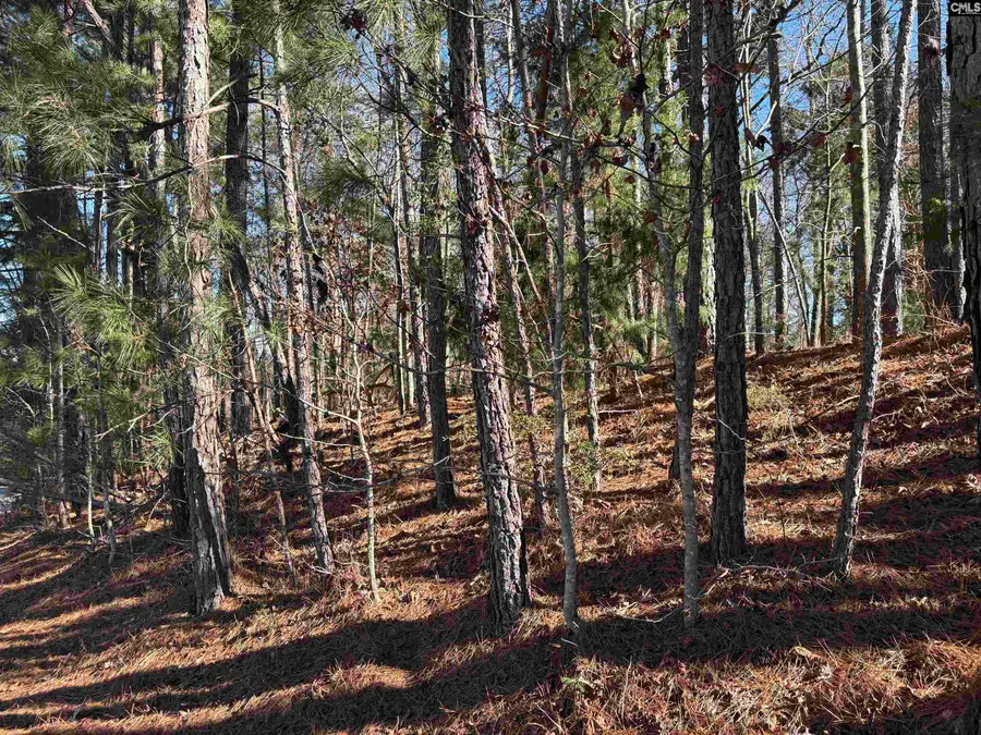 110 Lake Summit Drive, Chapin, SC 29036 - Image #2