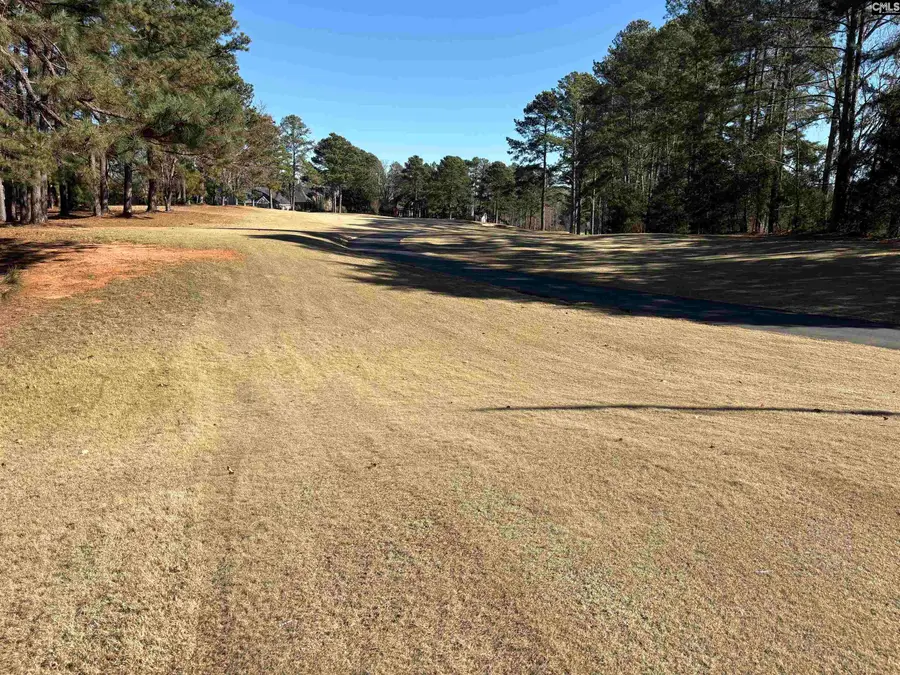 110 Lake Summit Drive, Chapin, SC 29036 - Image #3