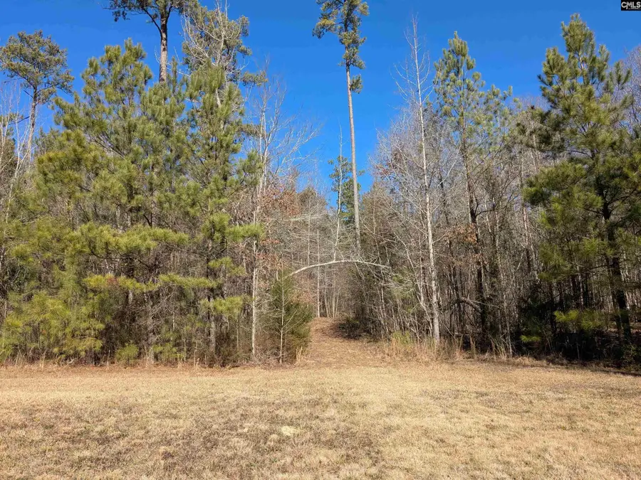 0 Smallwood Road, Ridgeway, SC 29130 - #2