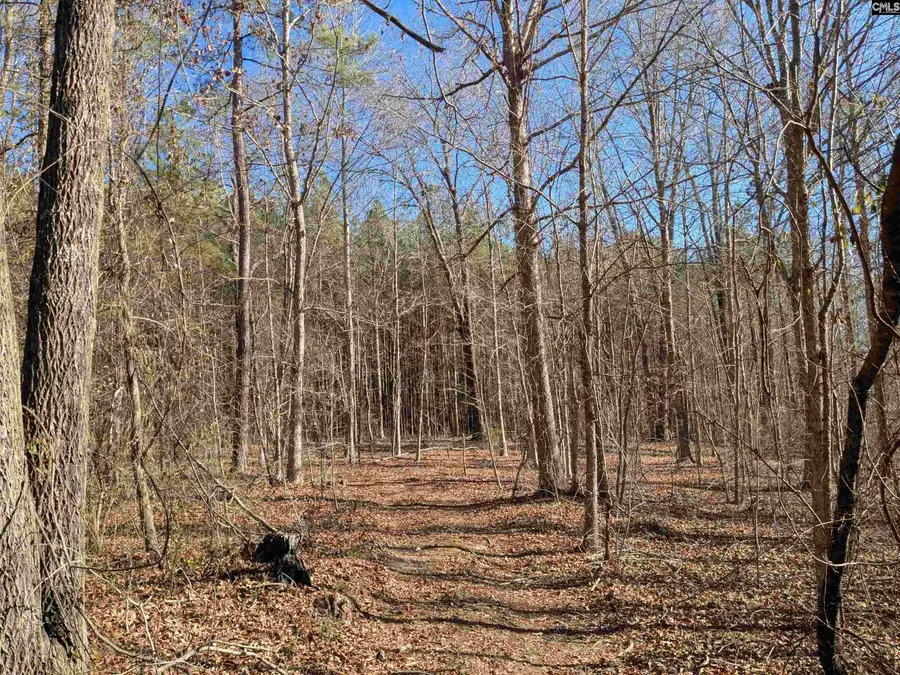 0 Smallwood Road, Ridgeway, SC 29130 - #3