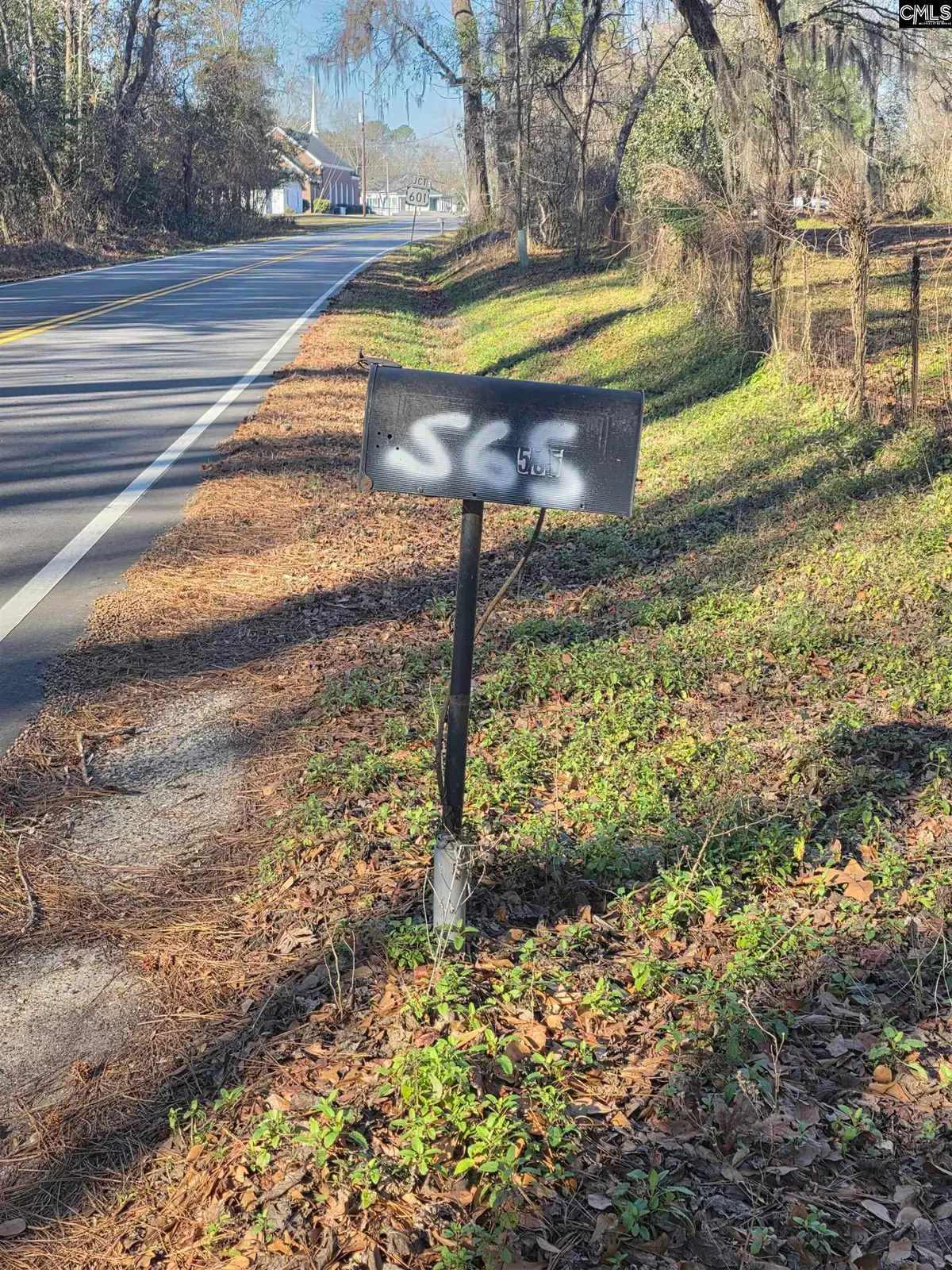 565 Waterspring Road, Orangeburg, SC 29118 - #1