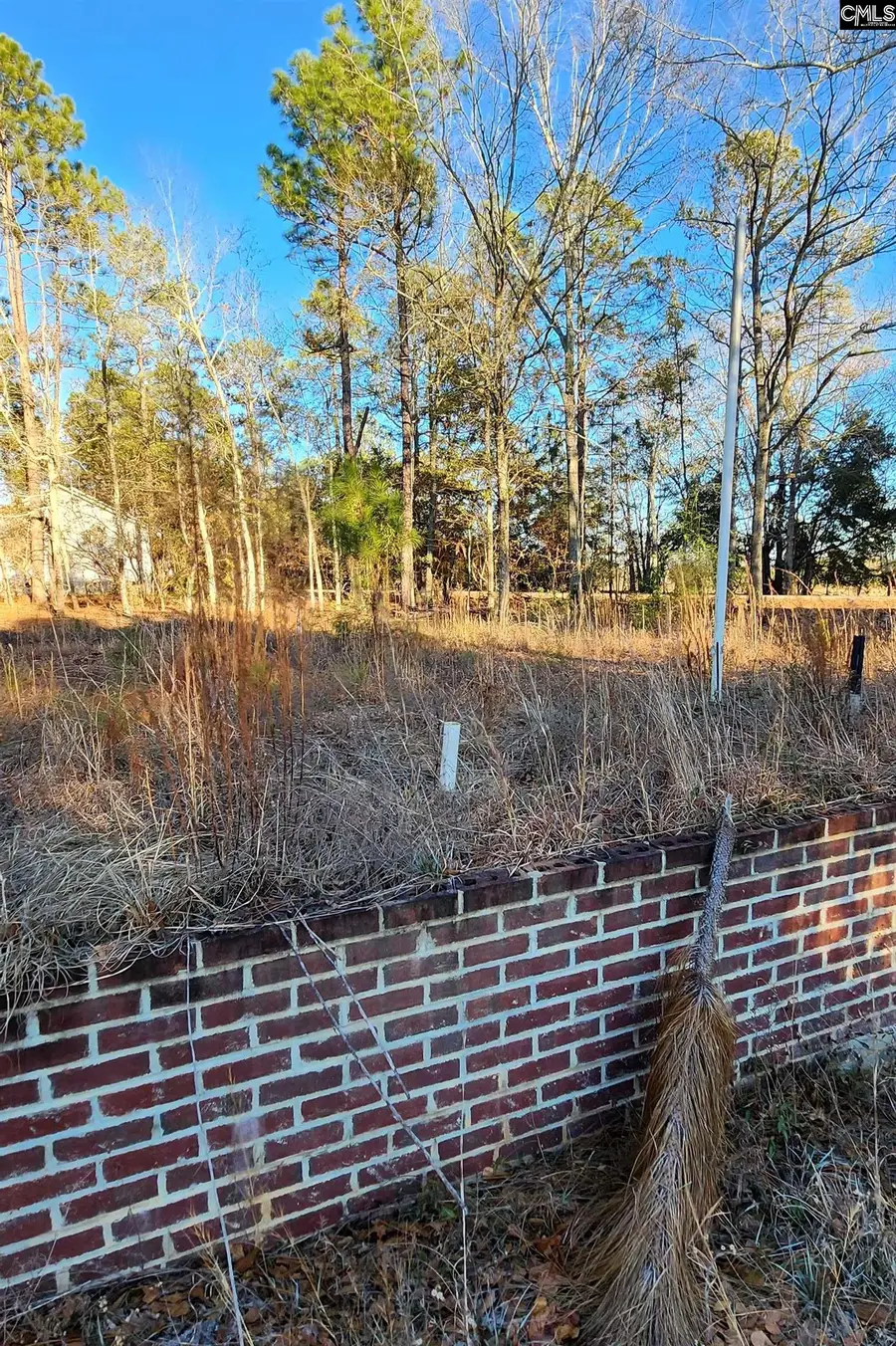 708 Calvary Church Road, Swansea, SC 29160 - #2