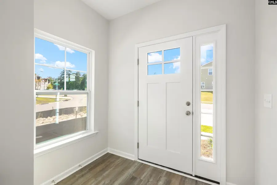 236 Brando Way, Columbia, SC 29223 - #3