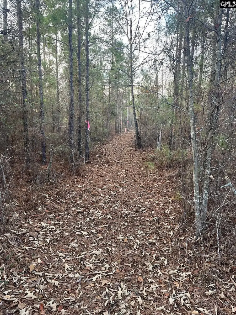 GOO 10A Wendell Lane #GOO 10A, Wagener, SC 29164 - #3