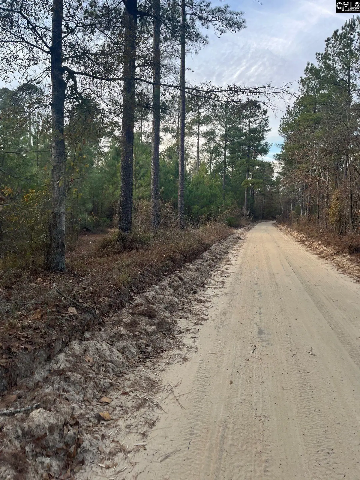 GOO 11A Wendell Lane #GOO 11A, Wagener, SC 29164 - #1